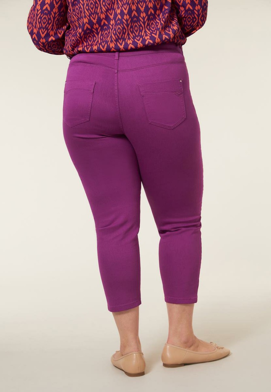 PLUS Miss Etam | Broek Paars 7/8